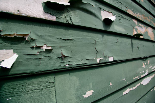 Best Storm Damage Siding Repair  in Gulfport, FL